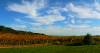 Mosaic Vineyards & Winery - Alexander Valley
