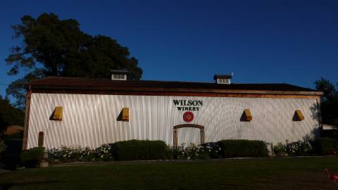Wilson Winery, Healdsburg, CA - Dry Creek Valley
